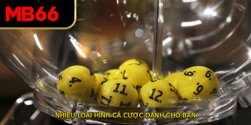 Nhiều loại hình cá cược dành cho bạn