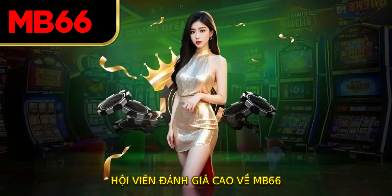 Hội viên đánh giá cao về MB66