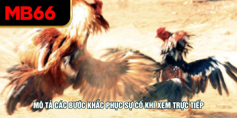 Mô tả các bước khắc phục sự cố khi xem trực tiếp